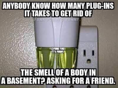 13166011_1058201774272832_6937672032593776111_n