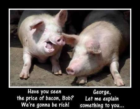 1375662_666332526712098_1759099582_n