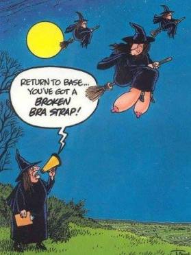 1381326_670314882980529_227587576_n