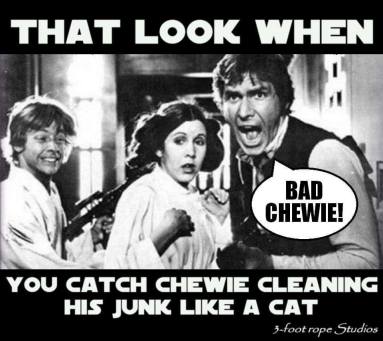 14100357_1223094334416363_7343655935403161372_n