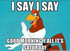 14141976_1222778414447955_5205214876985415311_n