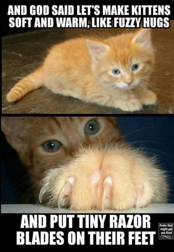 14192746_1231540723571724_2600957282286311828_n