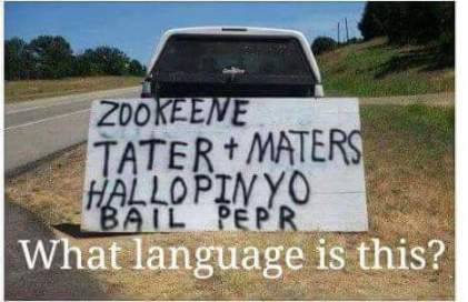 14192757_1230053110387152_8032146078255456264_n