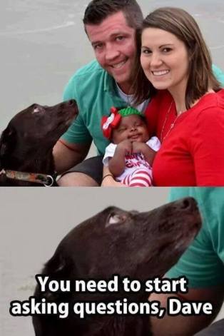 14202525_1232358586823271_7030375782942199507_n