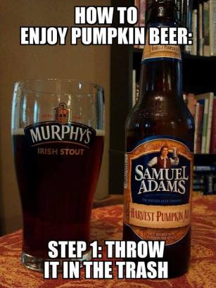 14265093_1238038139588649_2267460495055871375_n