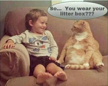 14440606_1187734561287486_2301295445500414870_n