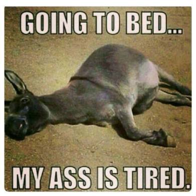 14446015_1295390037160600_3627639243255379280_n