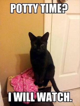 14485087_1190010544393221_6810194942185804137_n