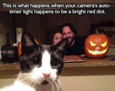 14680515_1266817390044057_3410468527831967207_n