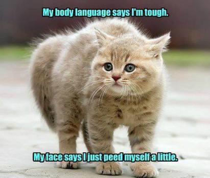 944801_643977925614225_835550992_n