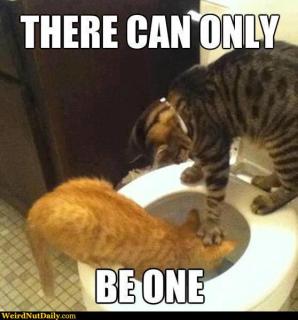 wnd_7edba031ed1143bfb18894e7542e9c1d