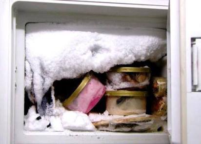 10891487_10153061785438552_2628812054568882599_n