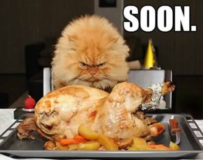 12191549_1027000907359041_3288201461039768487_n