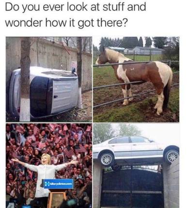 13466321_937475443023421_2100264138286987296_n