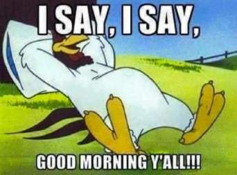 14233199_1233955089996954_2015328575749583717_n