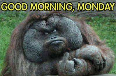 14324427_1244110435648086_1446642464271557682_o