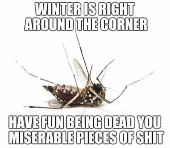 14470385_1184404441620498_8593214835688638389_n