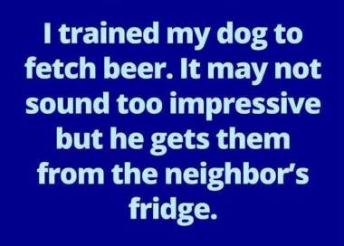 14610922_1190009694393306_1341757854548325569_n