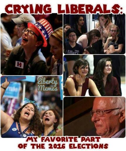 14937231_10157848287505515_2680400438675282935_n