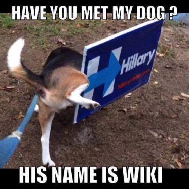 14938286_10154695106827500_1467372218345367216_n