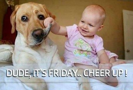 14956009_1163742993661639_1294885518728577679_n