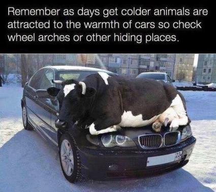 14956515_1348465095205725_3473156429542362249_n