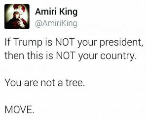 15027550_1299205086798923_8011942066038924868_n