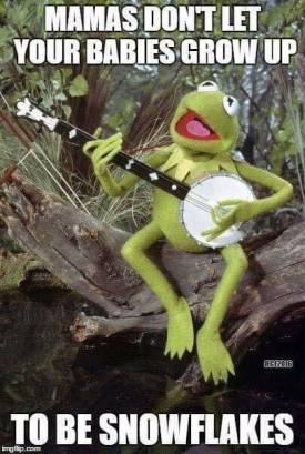 15055679_1232184113524481_5666389270761487973_n