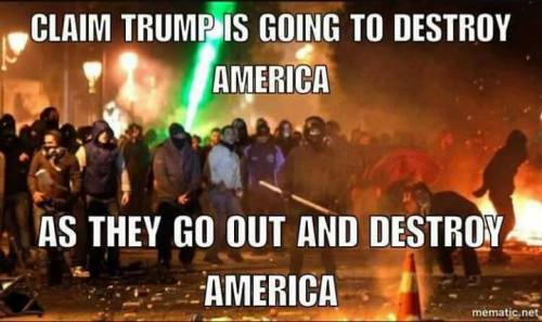 15056441_1123561851062372_8320536688495953858_n