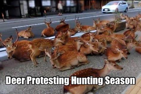 15078613_1178358708896194_8976181179614142330_n