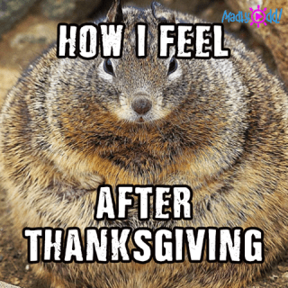 15171098_1312973672067480_8757579136301418284_n