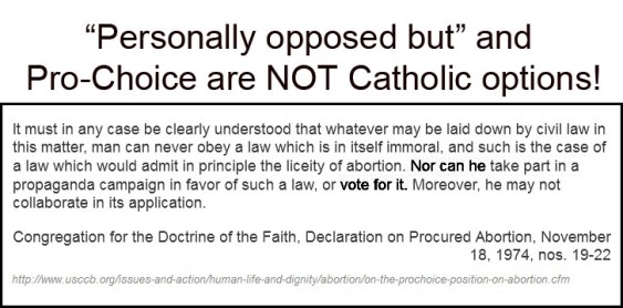 congregation-for-doctrine-vote-for-life