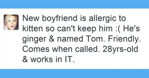 funny-cat-tweets-fb66__700