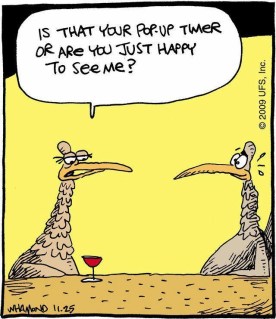 funny-turkey-cartoon-resizecrop