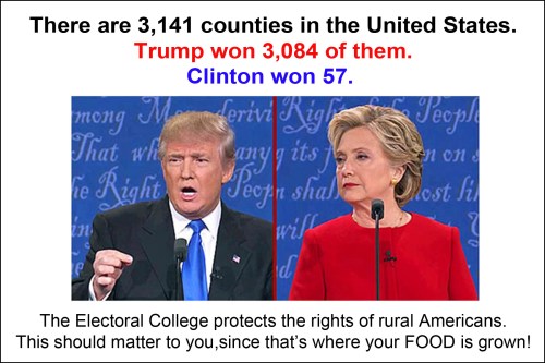 popular-vote-vs-electoral-vote