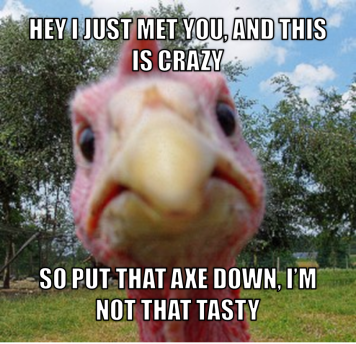 turkey-meme