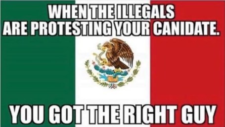 when-illegals-protest