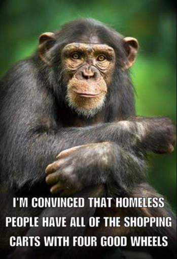 14355196_1244715055587624_6765036039266622526_n