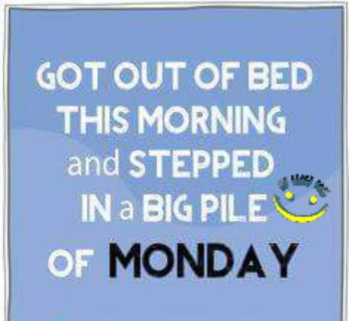 14657252_806805782795486_3486904941044376362_n