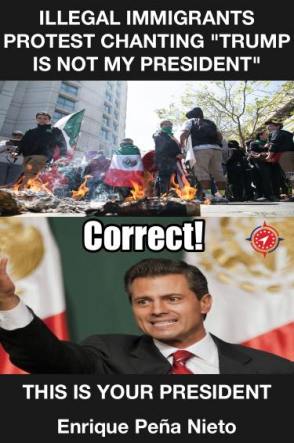 14956490_1175726962492702_2269941562739111410_n