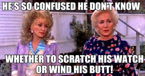 15110429_1232796313432712_6586081450580473324_o