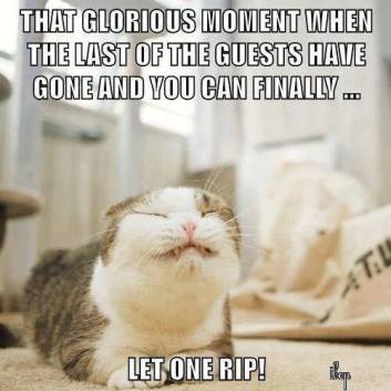 15220085_1298125630210509_1256292336777722108_n