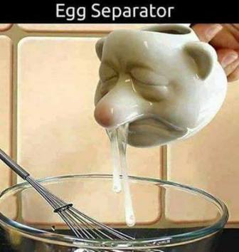 15230779_1298014850221587_2181403088194938193_n