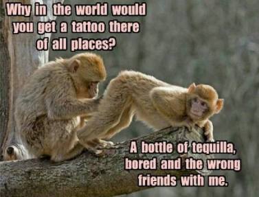 15241190_1864184893819119_7027316963516048453_n