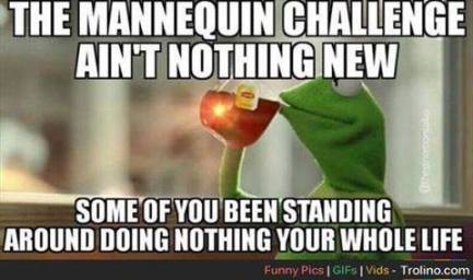 15319038_1296890977000641_174423253820900724_n