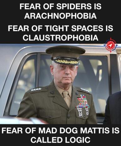 15337384_1197735316958533_994641355090416995_n