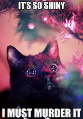 15338797_622967384549990_700184214032539896_n