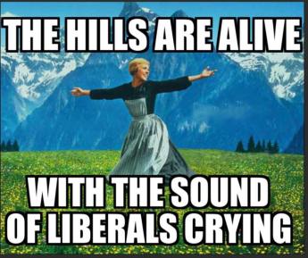 15355675_1207795115952553_4552461909878279273_n