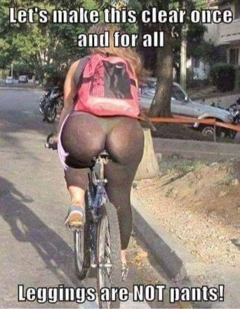 15355735_1303831236306615_1754273968932671343_n