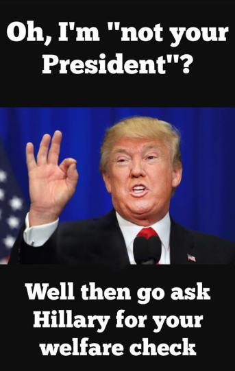 15380838_1202686639796734_8577987961443629103_n